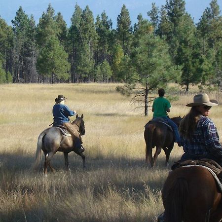 מלון Marion Dream Haven Guest Ranch מראה חיצוני תמונה